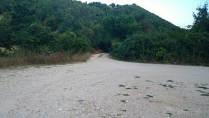 strettura -area sterrata